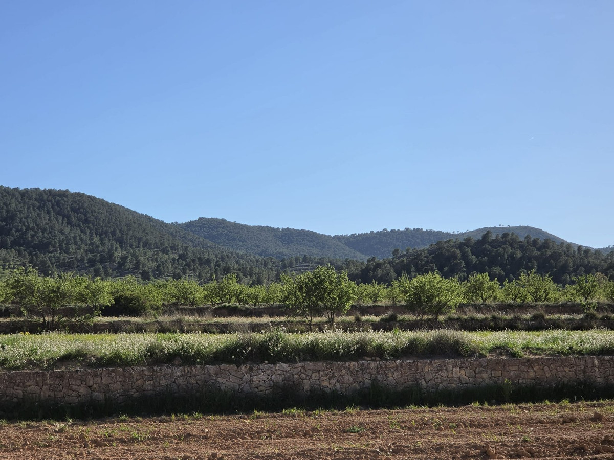 Property main view 7