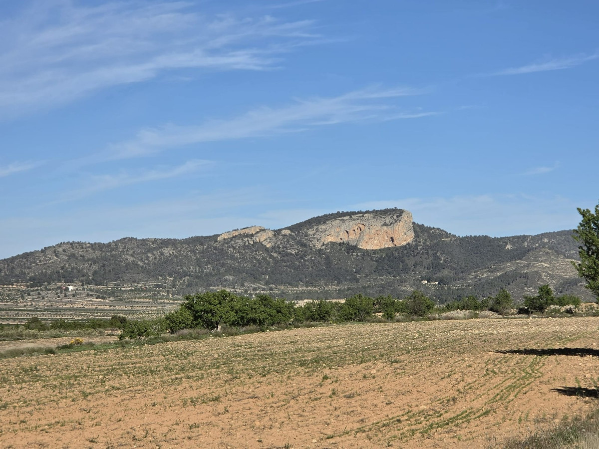 Property main view 8