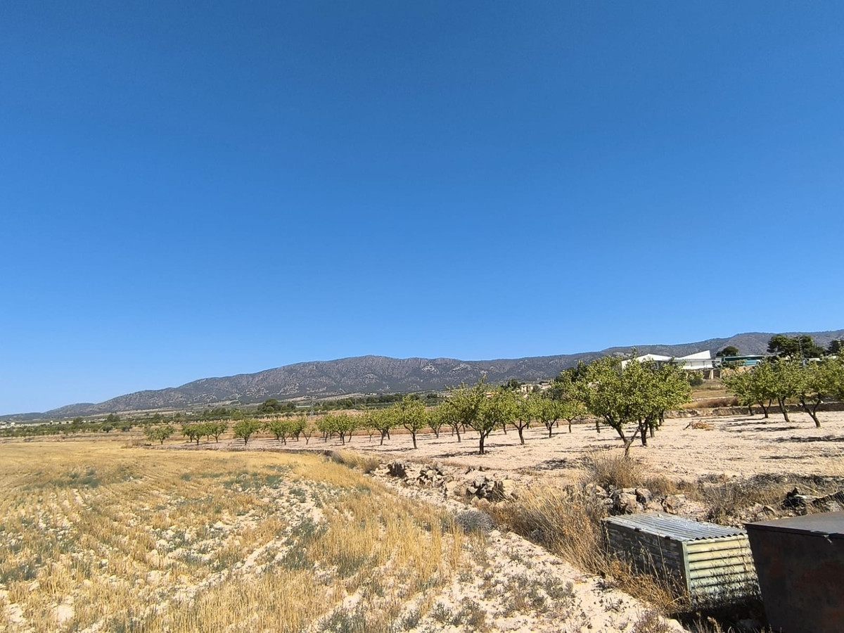 Property main view 2