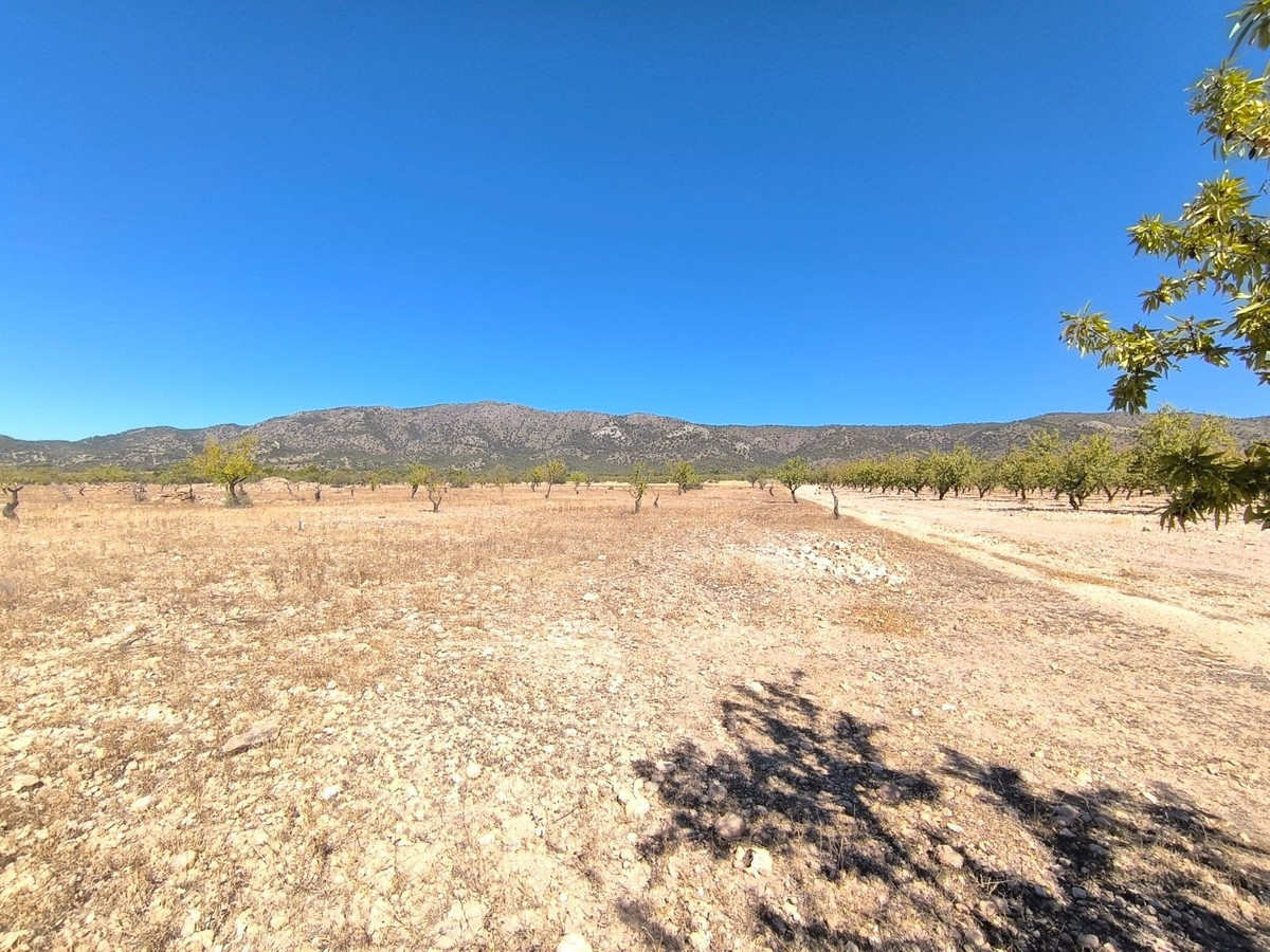 Grond te koop in Monóvar | 0 slaapkamers H5508583