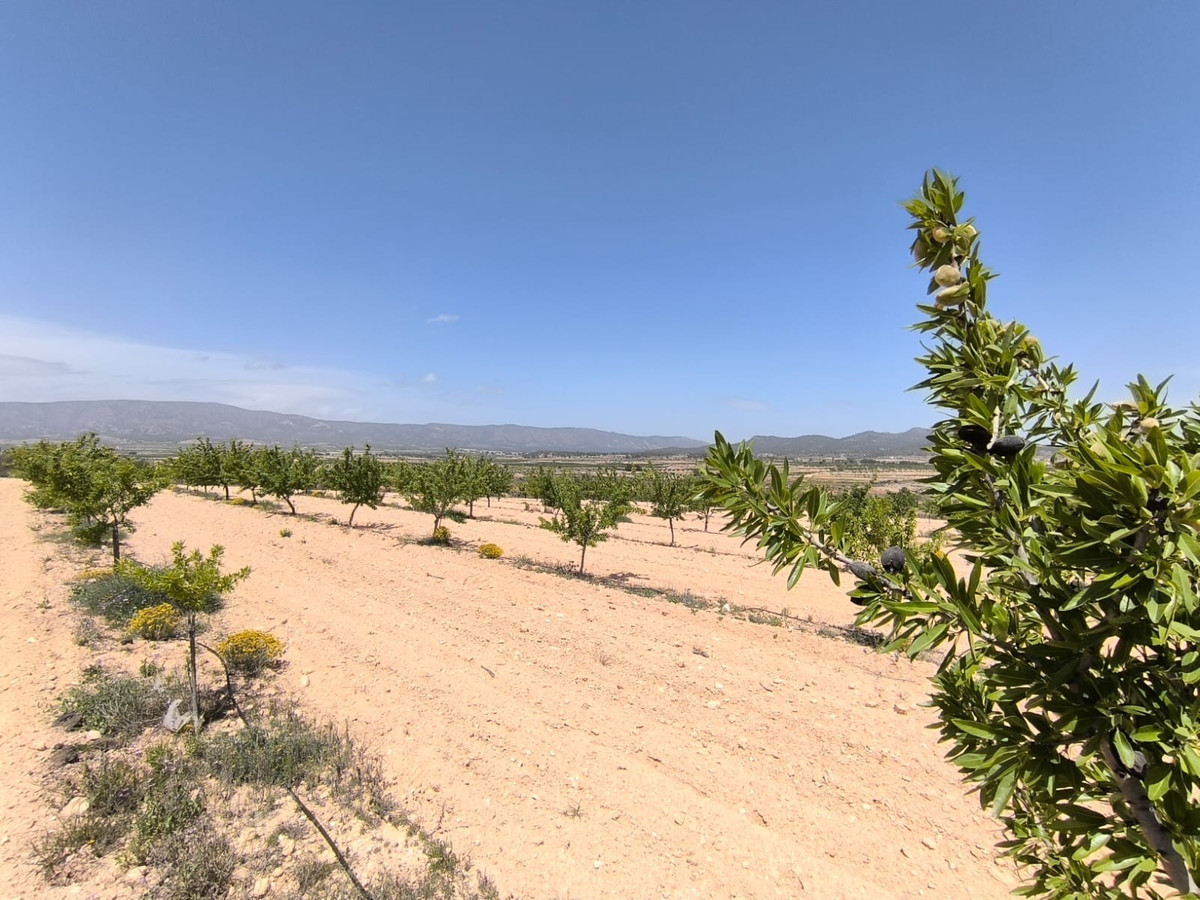 Property main view 2