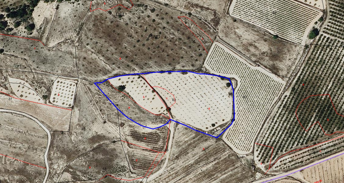 Property main view 5
