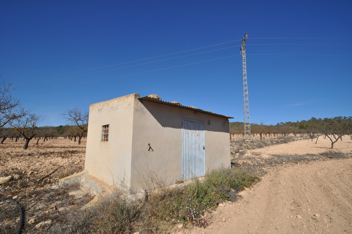 Grond te koop in Monóvar | 0 slaapkamers H5508808