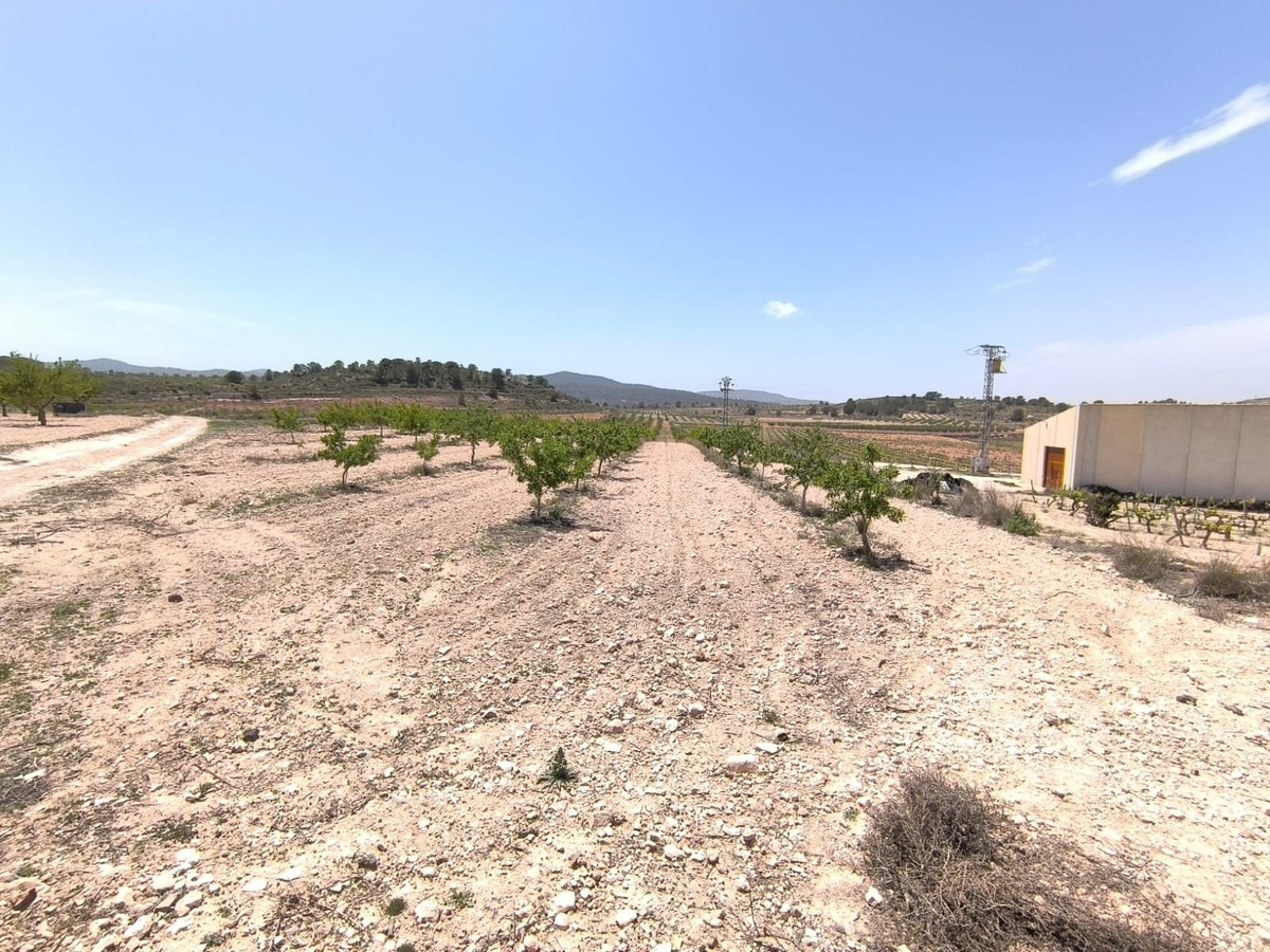 Grond te koop in Monóvar | 0 slaapkamers H5508904