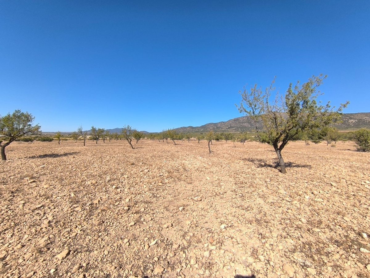 Grond te koop in Monóvar | 0 slaapkamers H5509255