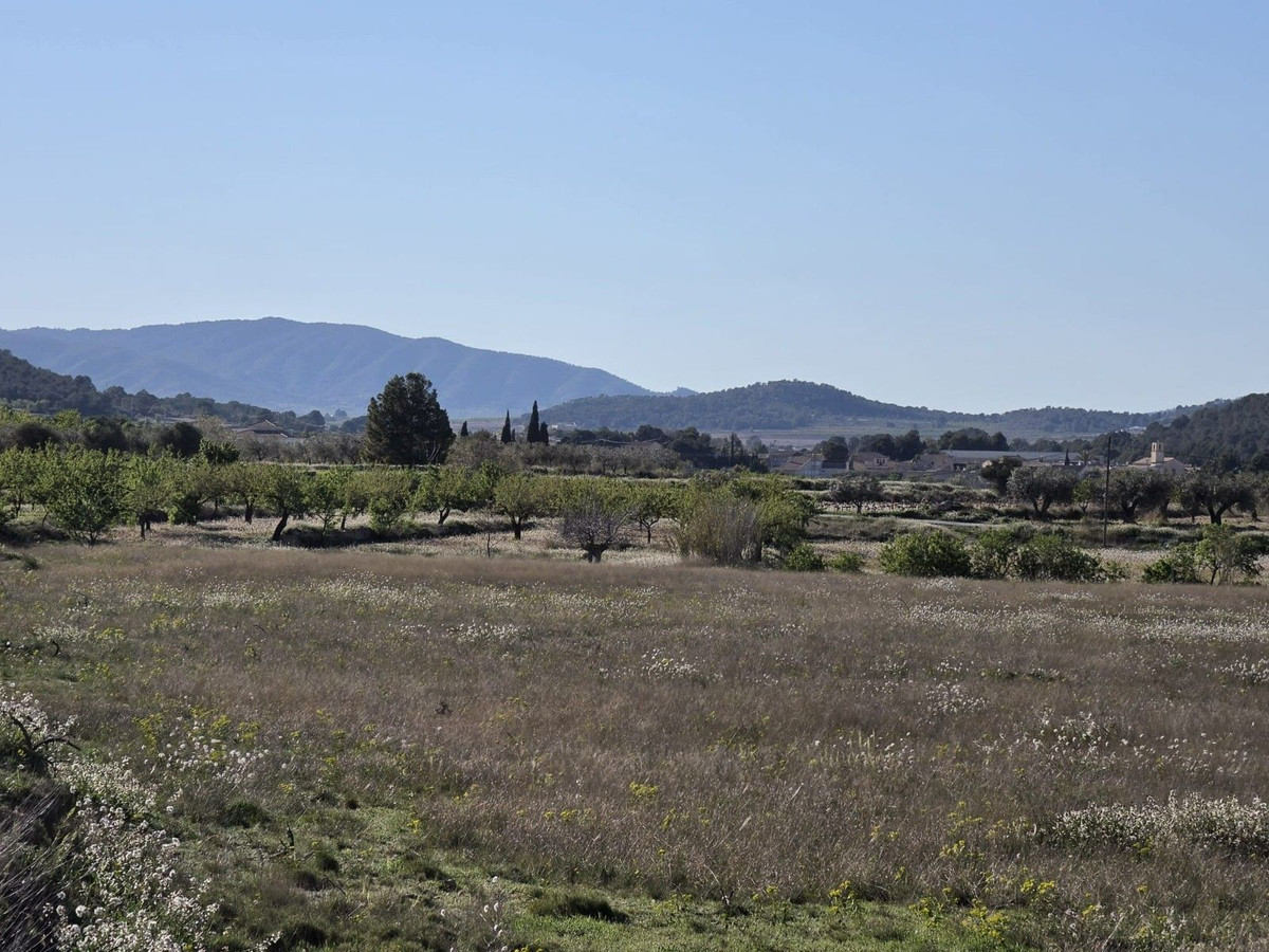 Grond te koop in Monóvar | 0 slaapkamers H5509309