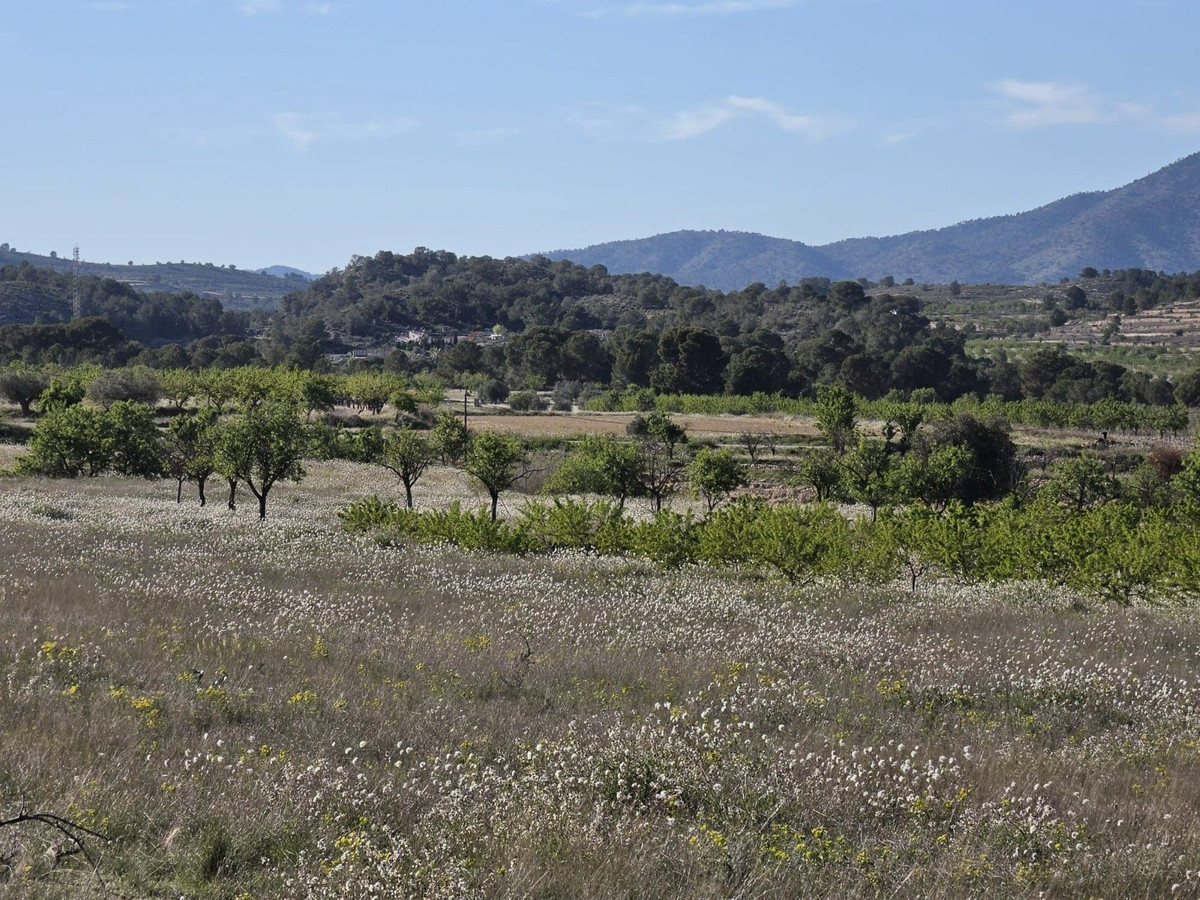 Grond te koop in Monóvar | 0 slaapkamers H5509309