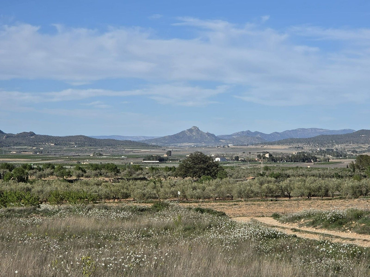 Grond te koop in Monóvar | 0 slaapkamers H5509309