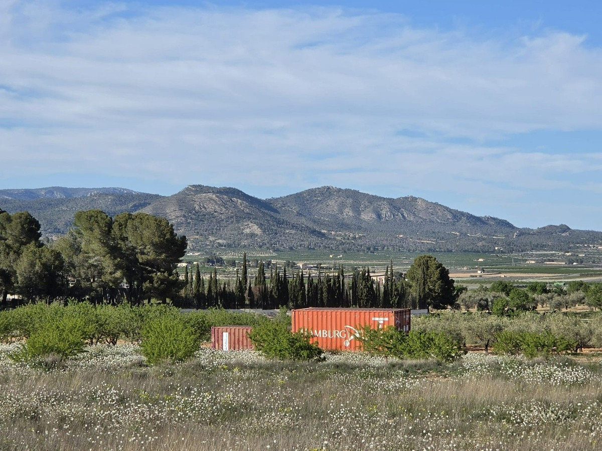 Grond te koop in Monóvar | 0 slaapkamers H5509309