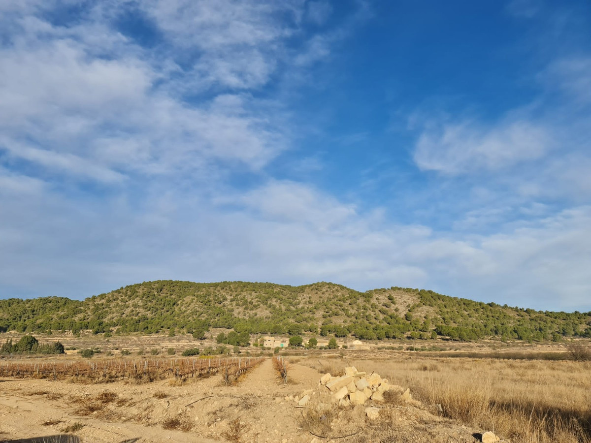 Grond te koop in Monóvar | 0 slaapkamers H5509324