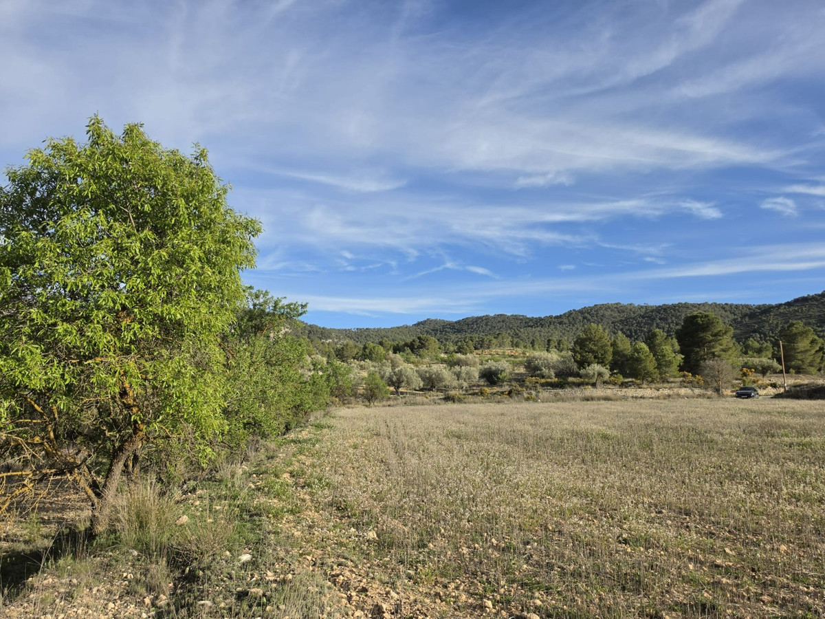 Grond te koop in Monóvar | 0 slaapkamers H5509417