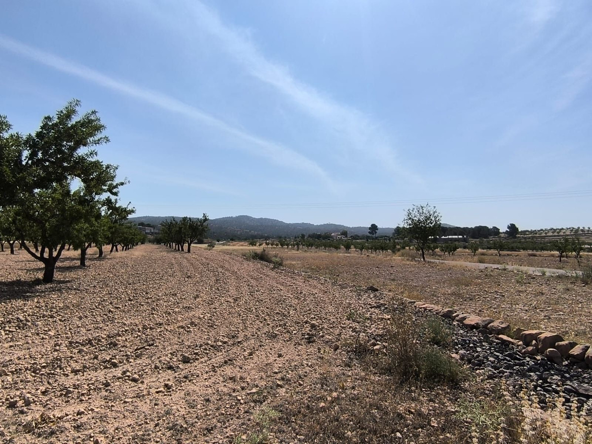 Property main view 5