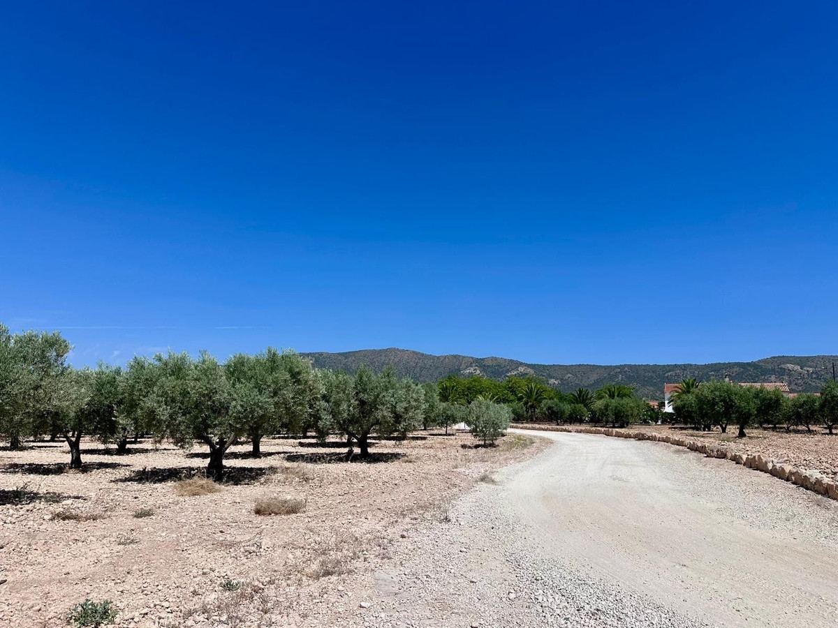 Property main view 7