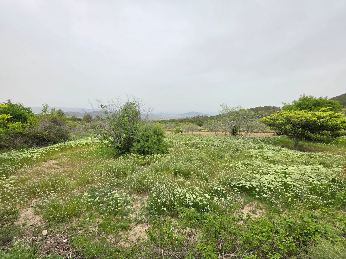 Property main view 10
