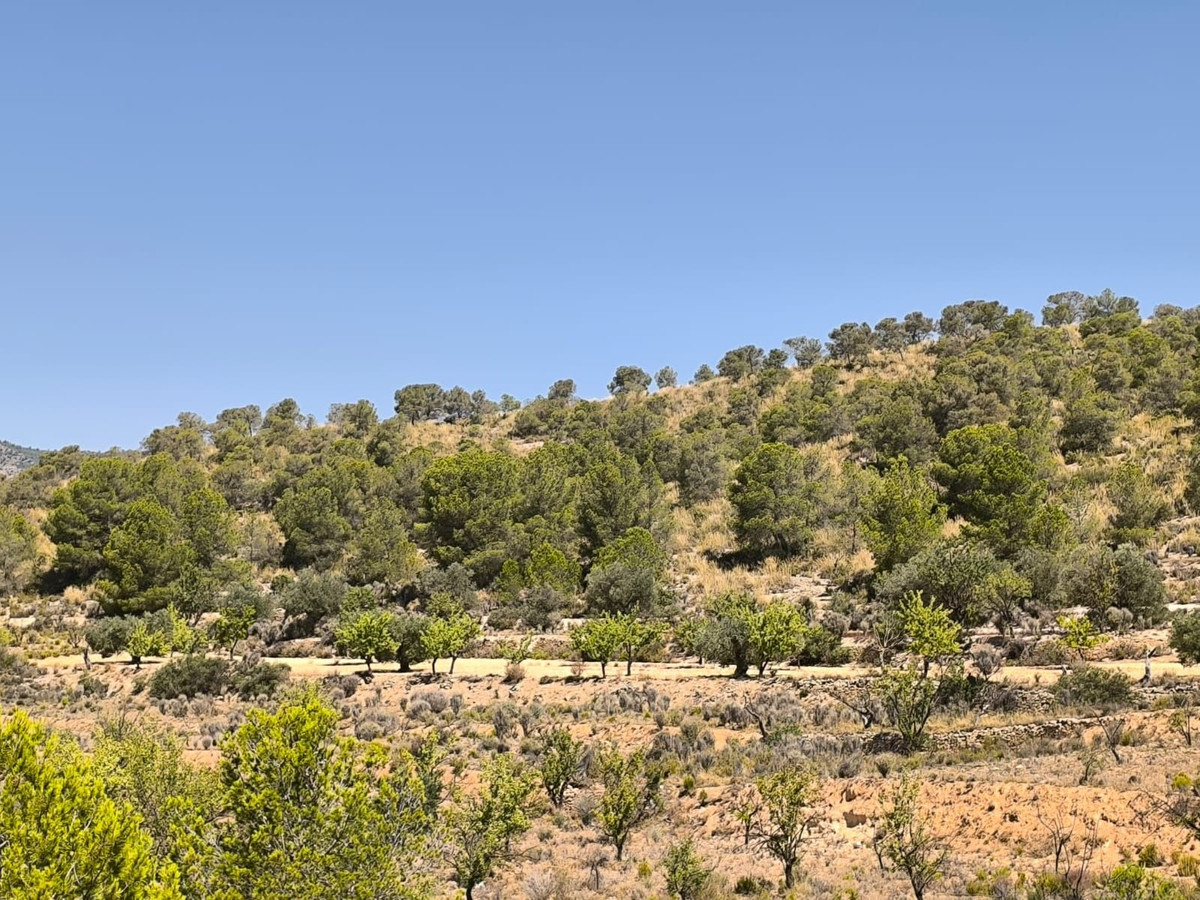 Property main view 1