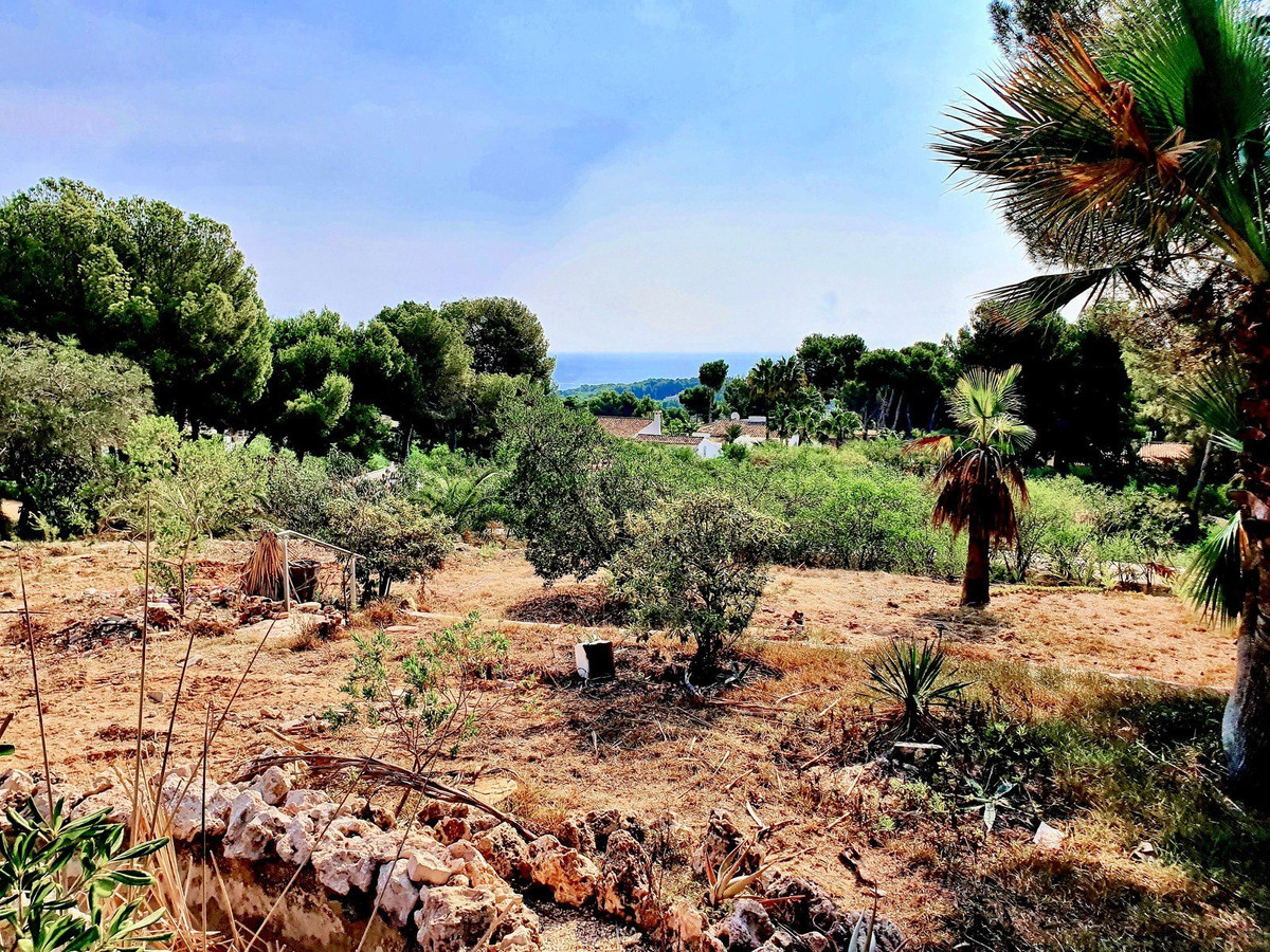 Property main view 2