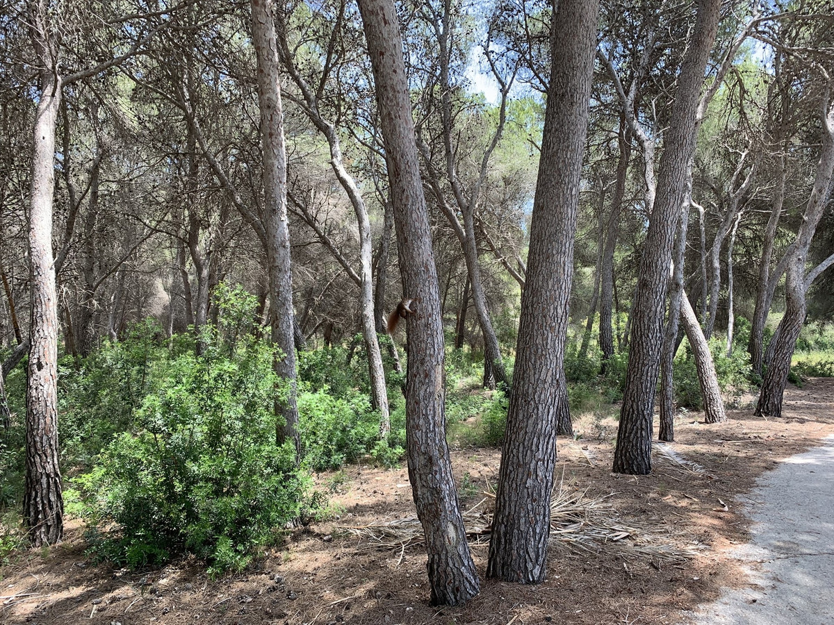 Grond te koop in Moraira | 0 slaapkamers H5473168