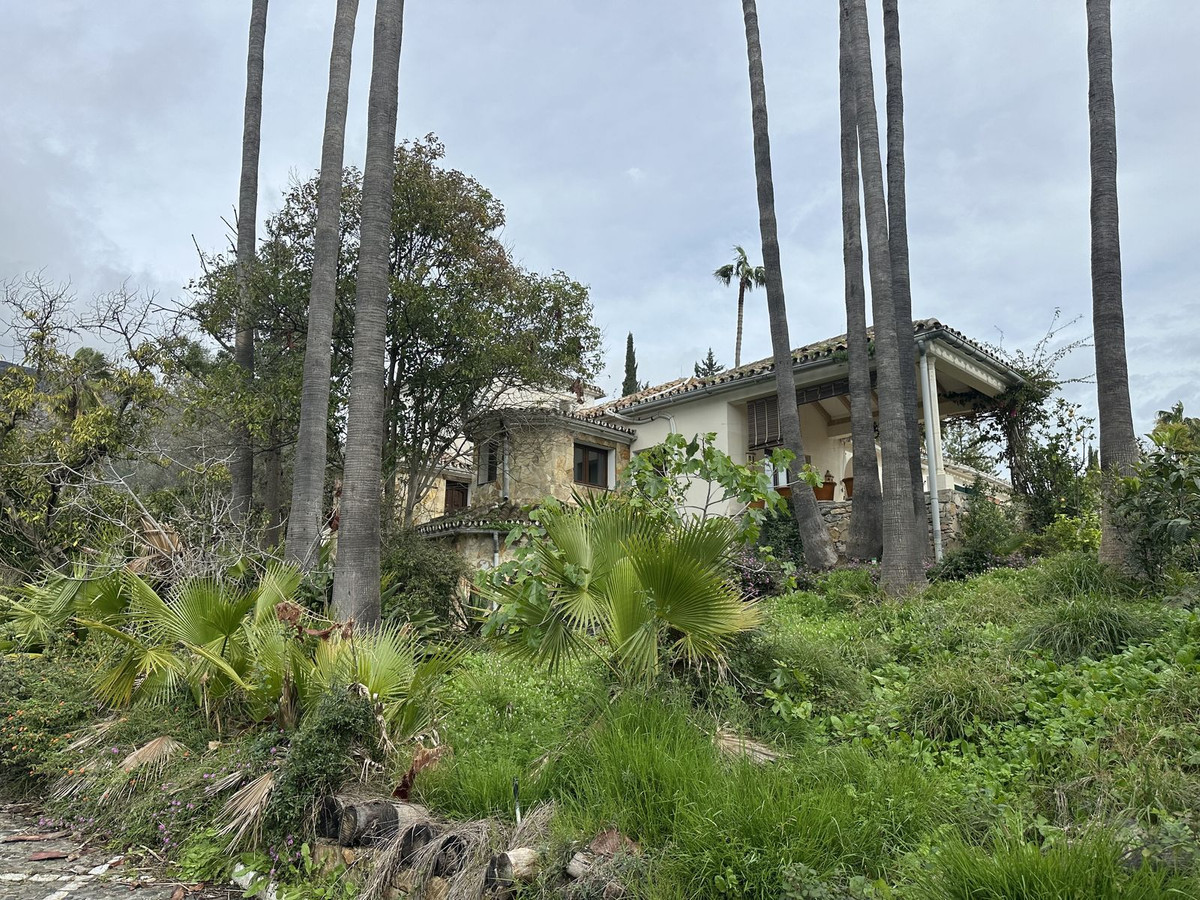 Property main view 12