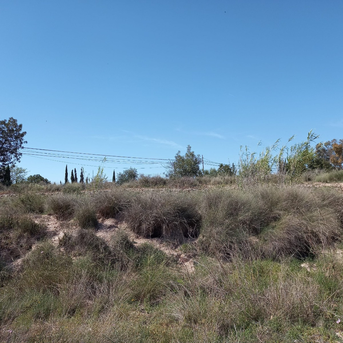 Grond te koop in Novelda | 0 slaapkamers H4936570