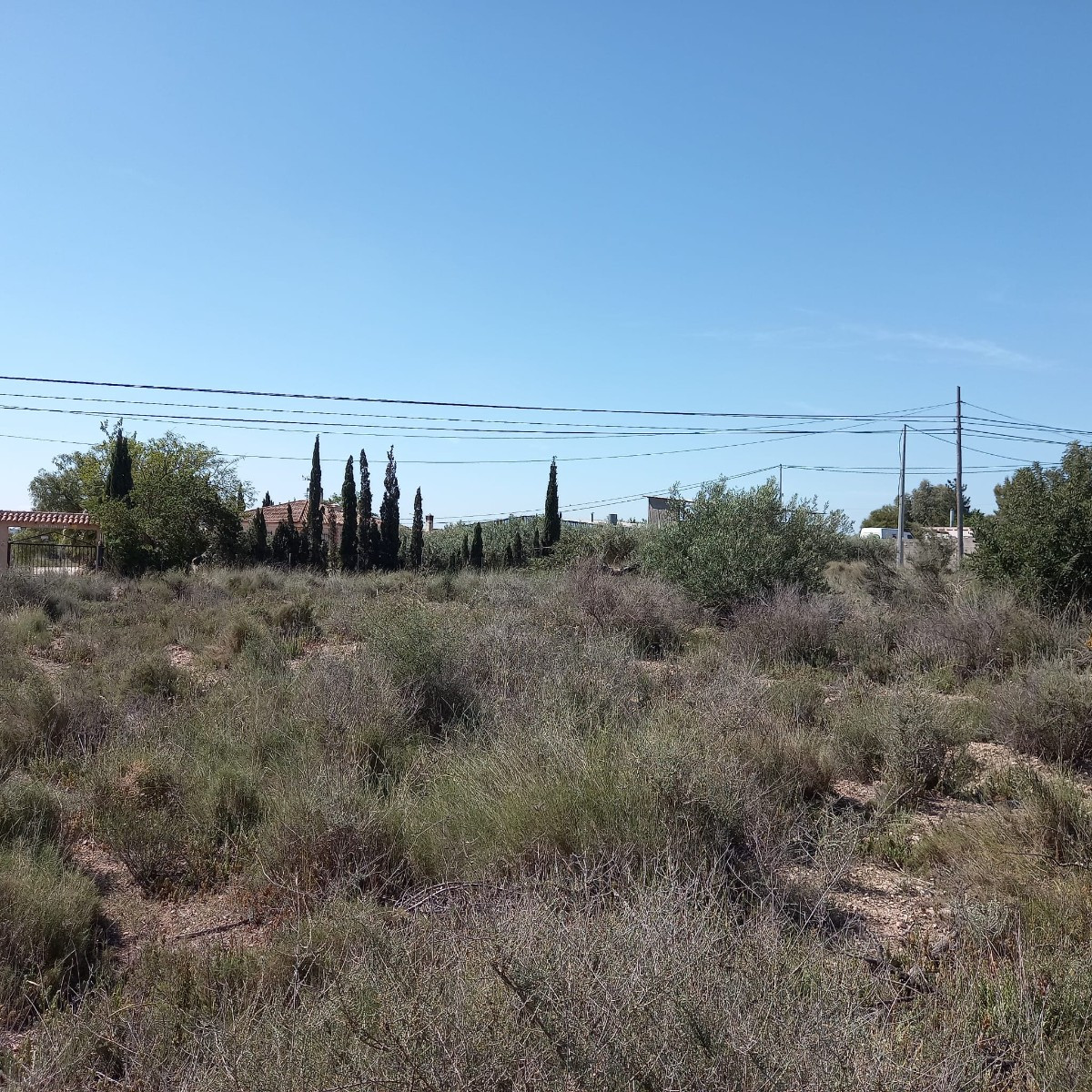 Grond te koop in Novelda | 0 slaapkamers H4936570