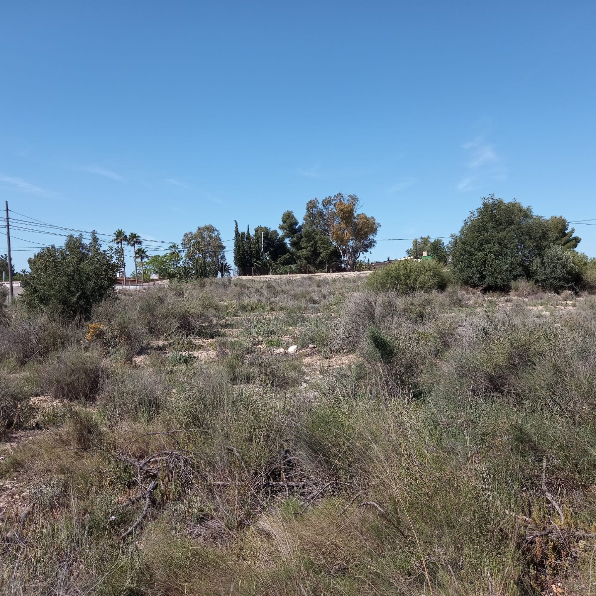 Grond te koop in Novelda | 0 slaapkamers H4936570