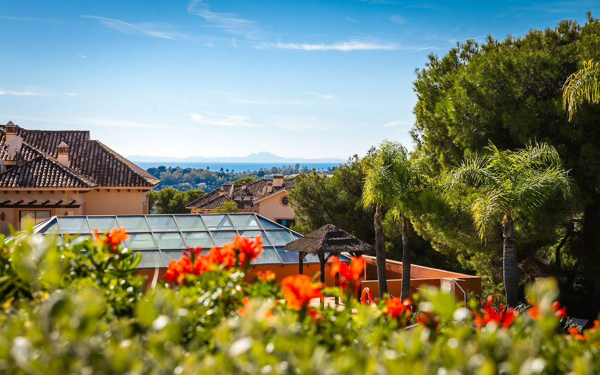 Property main view 32