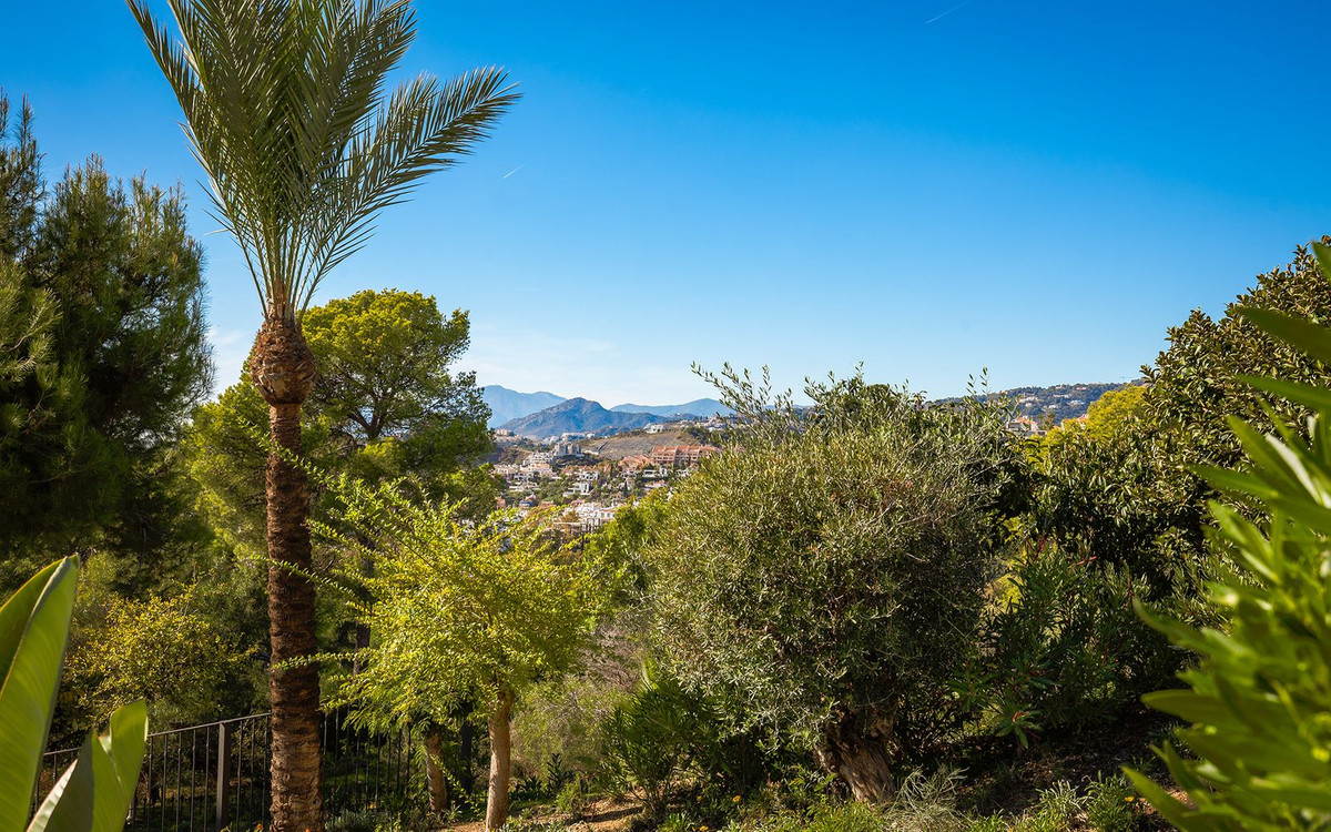 Property main view 48