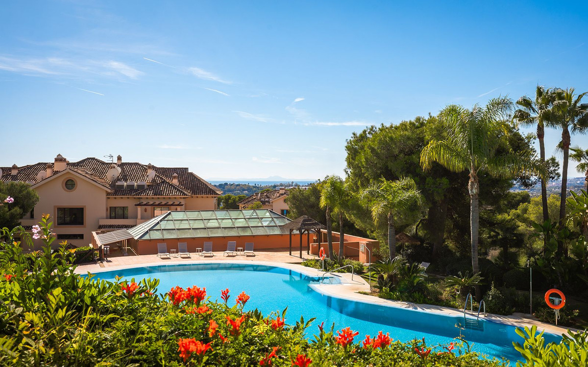 Property main view 50