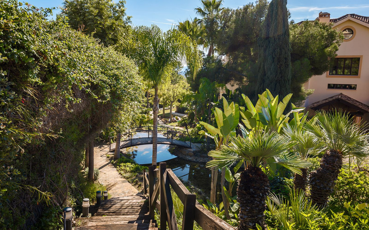 Property main view 56