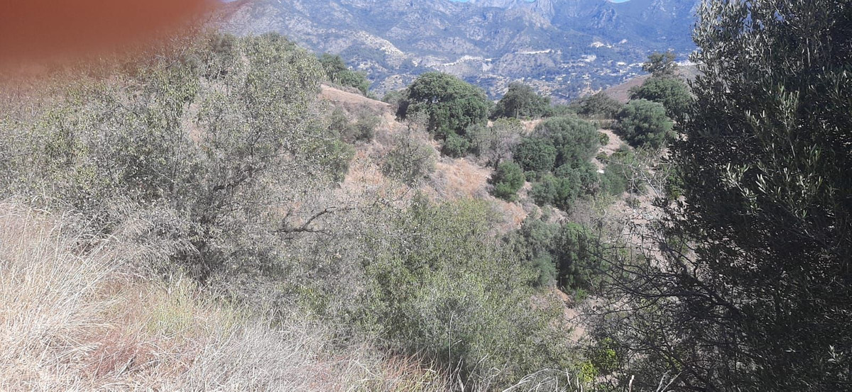 Property main view 3