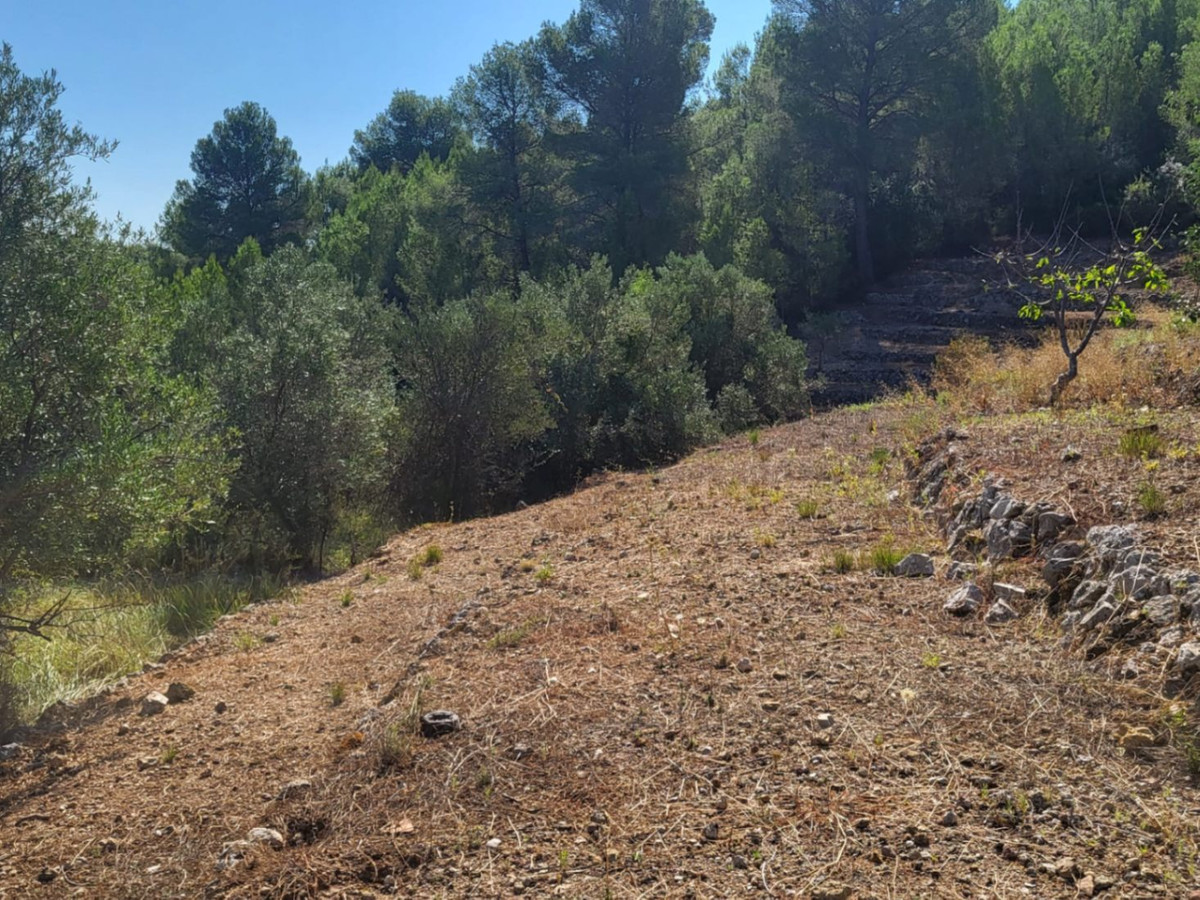 Property main view 5