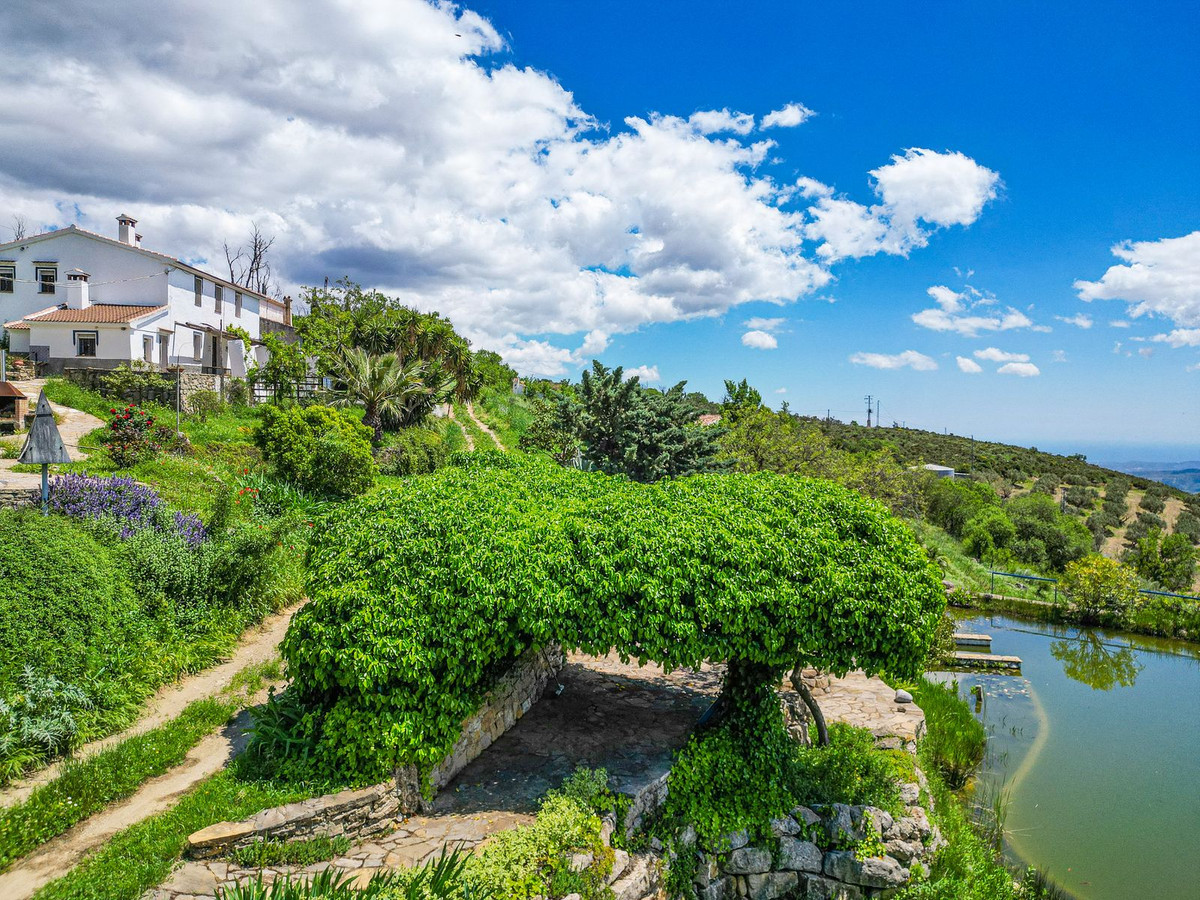 Property main view 2