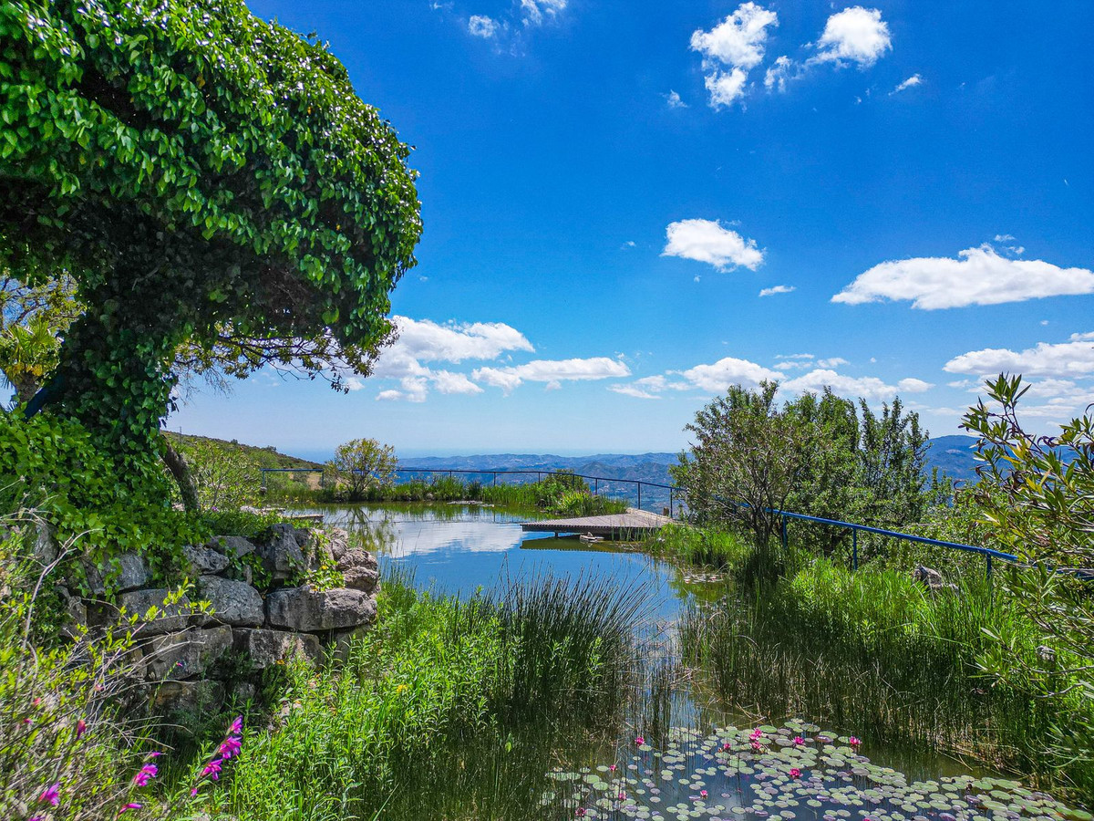 Property main view 45