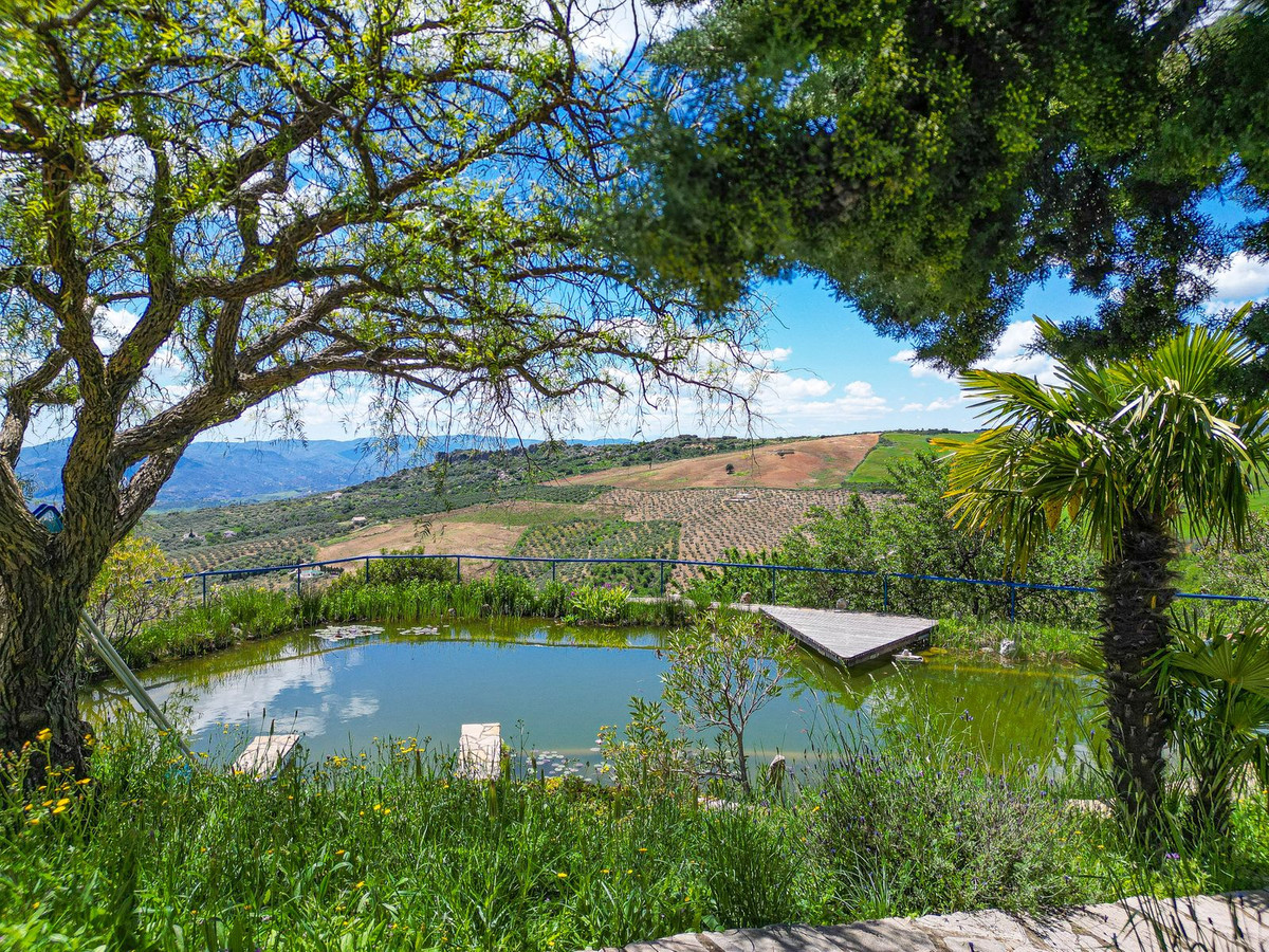 Property main view 50