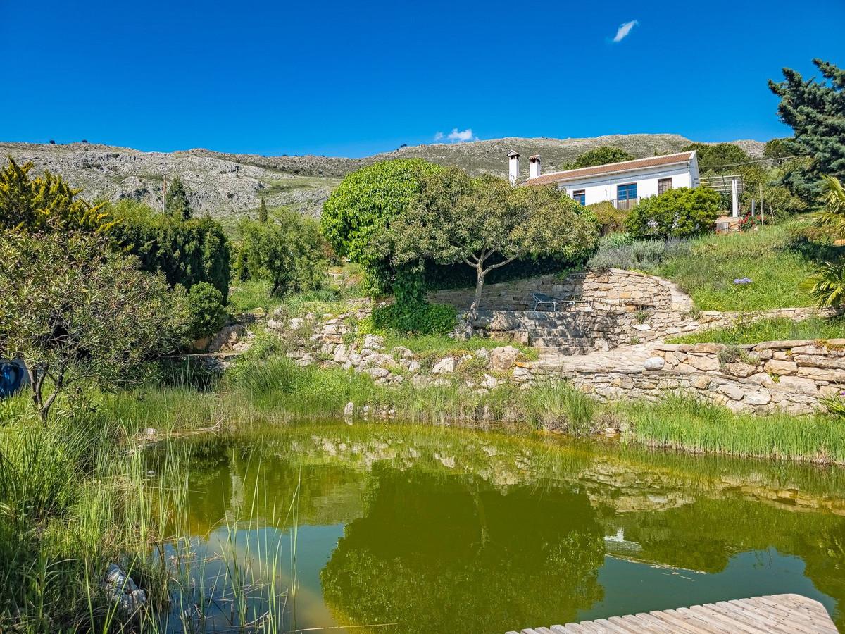 Property main view 54