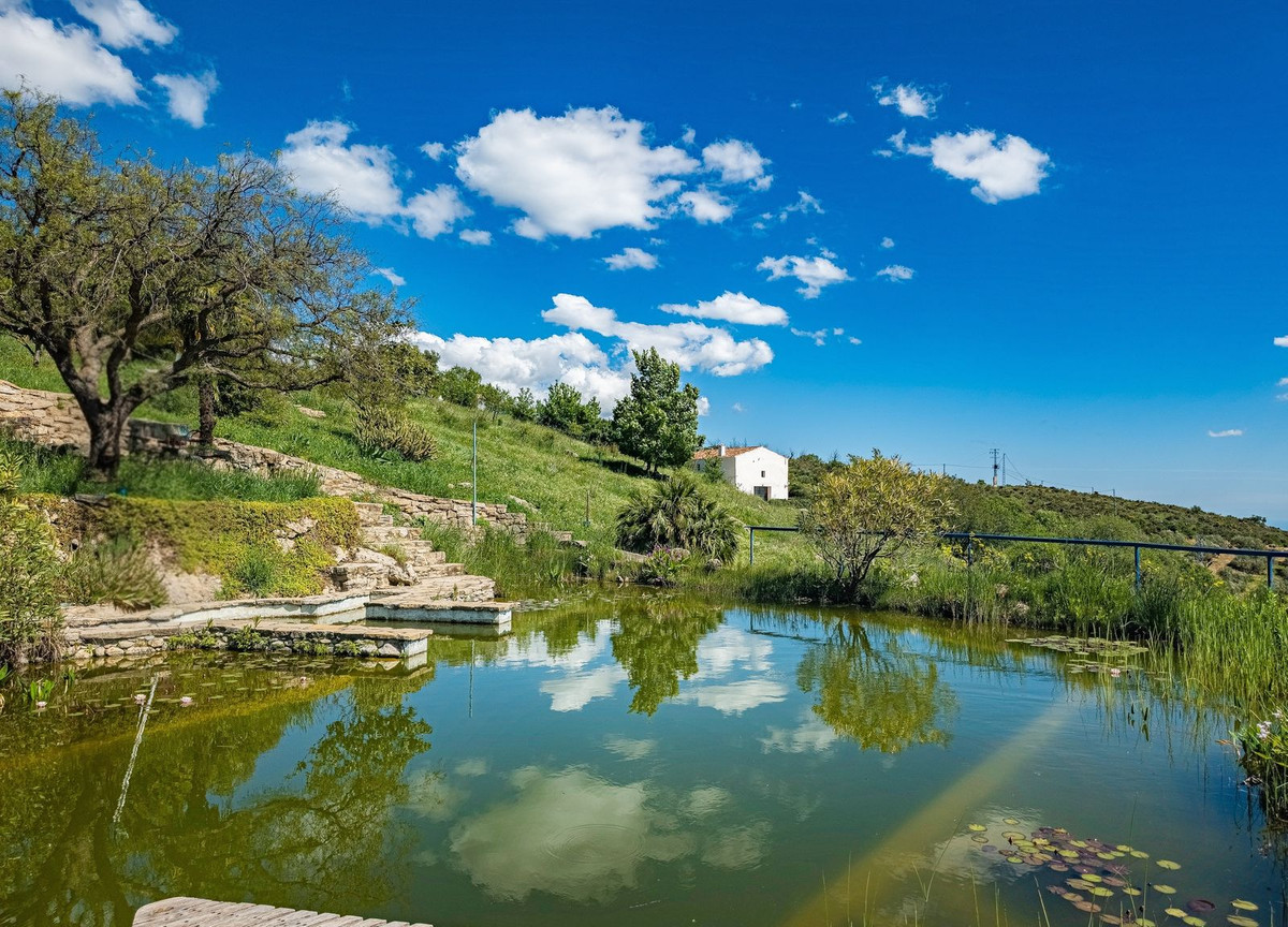 Property main view 55