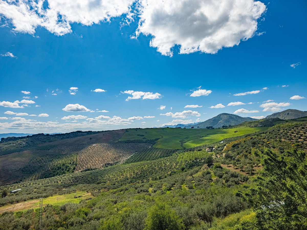 Property main view 60