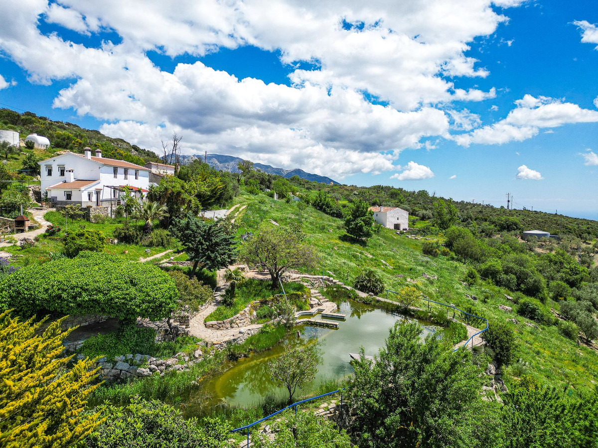 Property main view 62