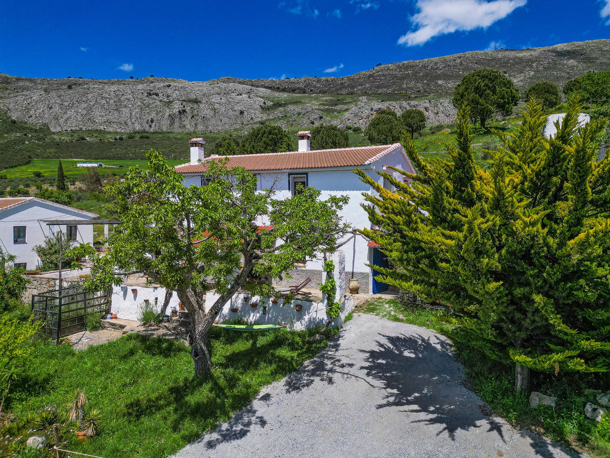 Property main view 64