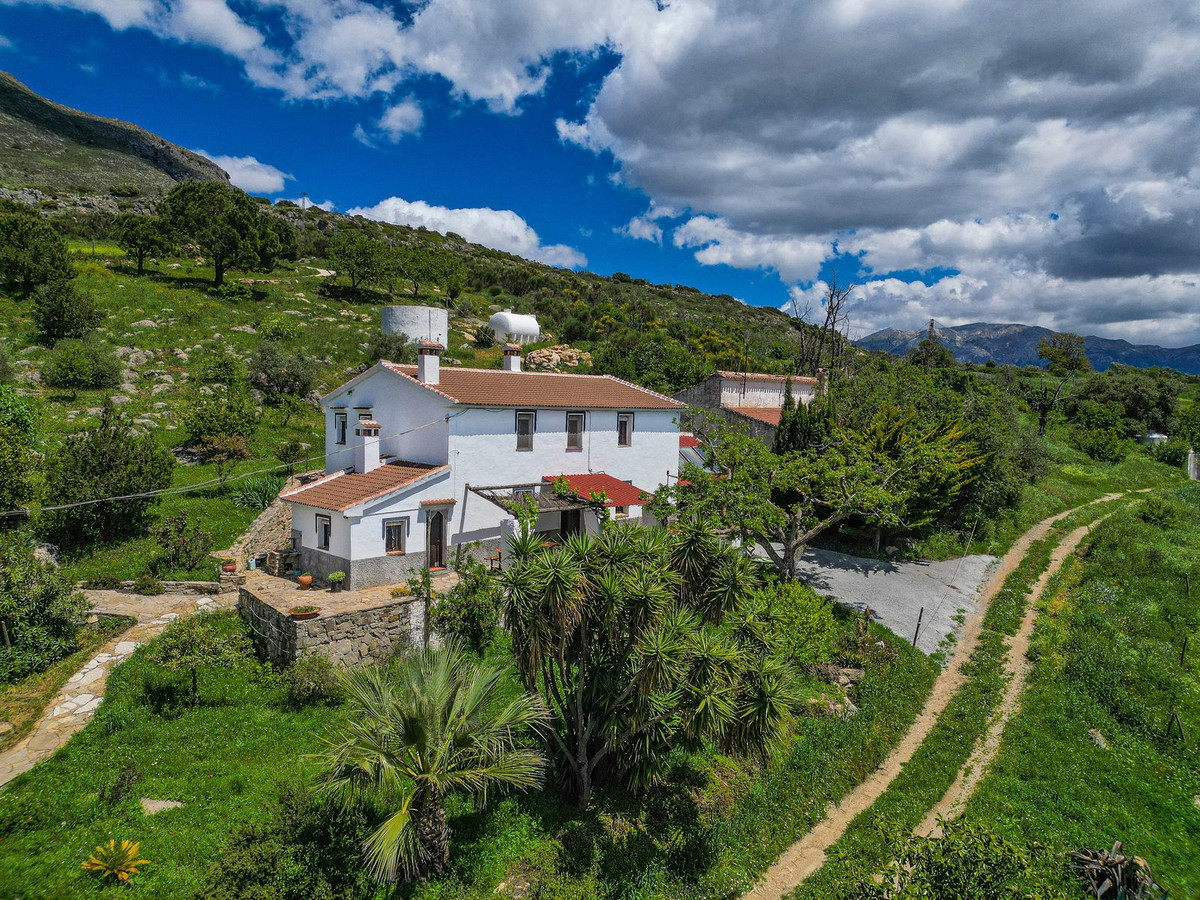 Property main view 65