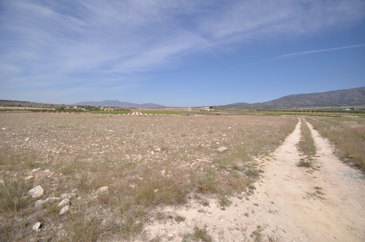 Property main view 10