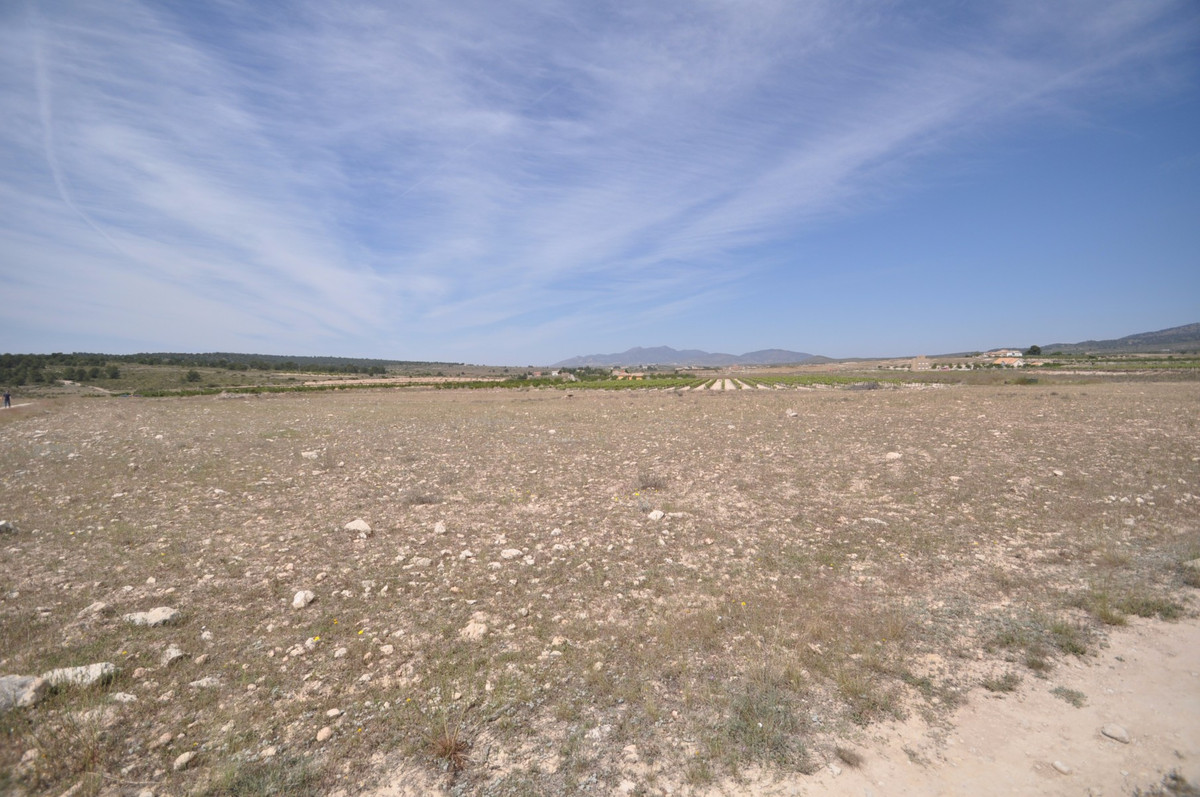 Property main view 11