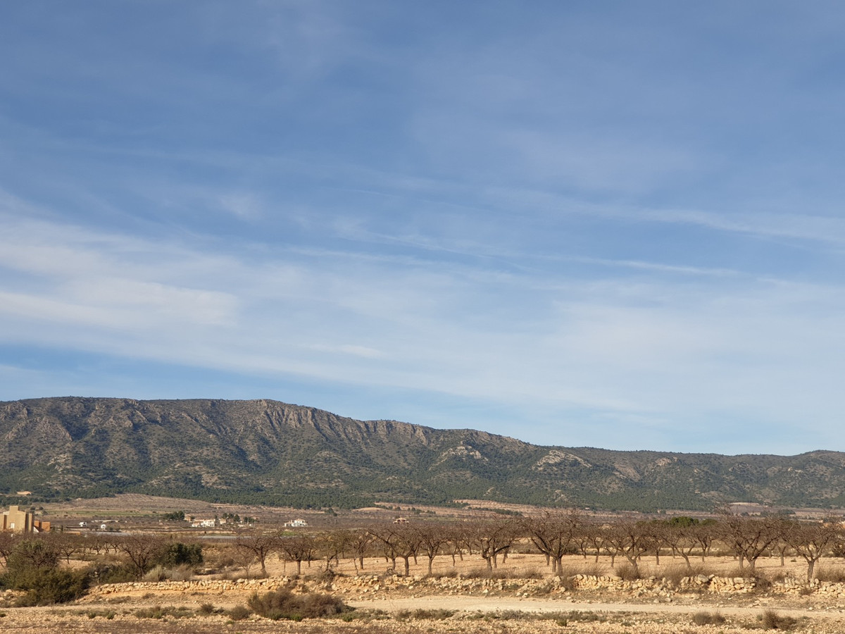 Property main view 16