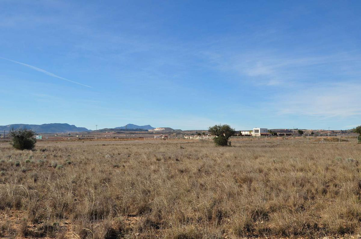 Property main view 15