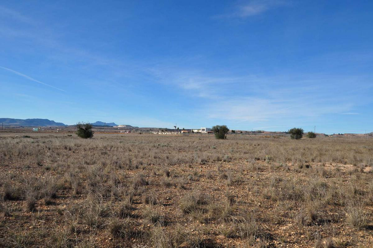 Property main view 4