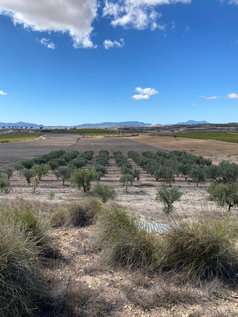 Property main view 6