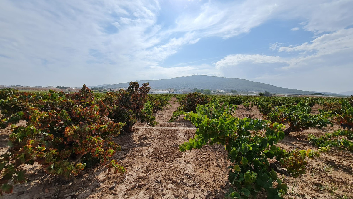 Property main view 10