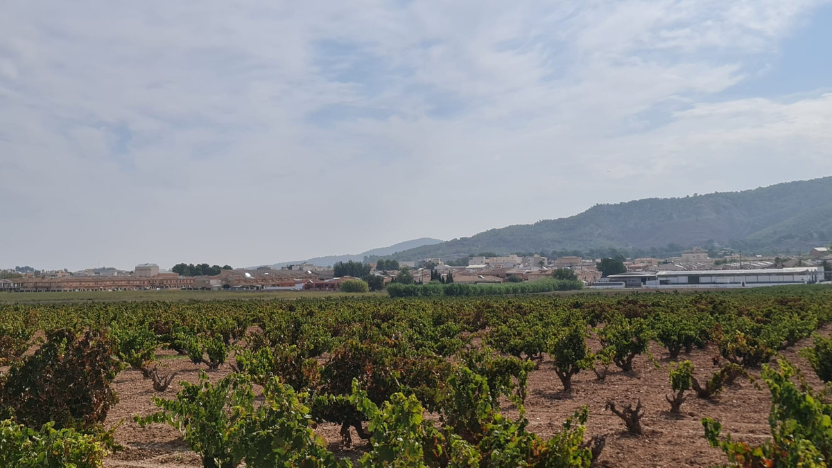 Property main view 14