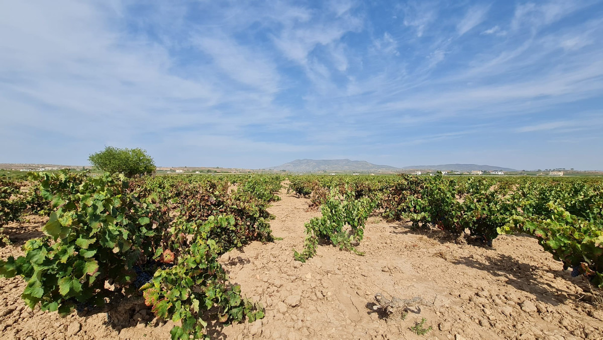 Property main view 7