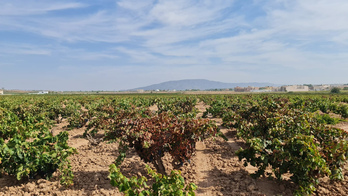 Property main view 8